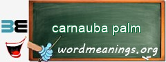 WordMeaning blackboard for carnauba palm